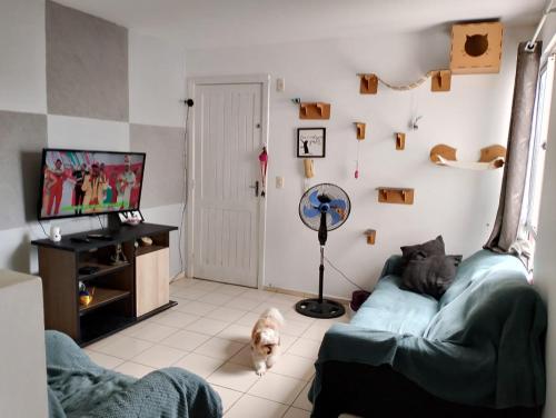 a living room with a couch and a dog at Quarto casal ARENA OPUS in São José