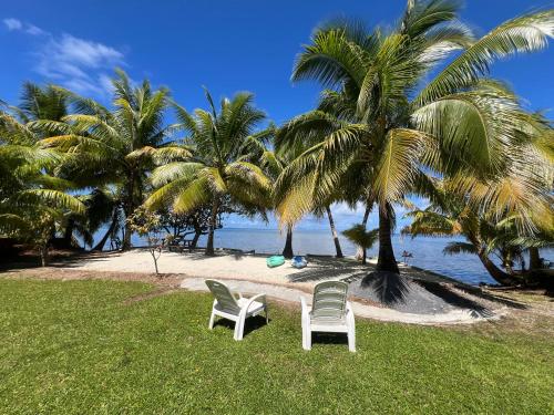 two chairs sitting on a beach with palm trees at Fare Mama Rota - au bord de l'océan in Taputapuapea