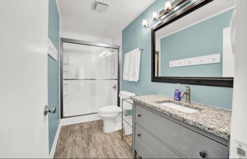 a bathroom with a toilet and a sink and a mirror at The Honey Hole St George Island Pet Friendly-Heated Private pool West Gulf beaches in St. George Island