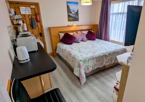 Η κουζίνα ή μικρή κουζίνα στο Skellig View Harbour View Sunrise Apartment