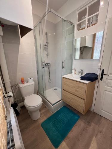 une salle de bain avec une douche, des toilettes et un lavabo dans l'établissement La petite Provence, hyper centre, Wifi, à Dreux