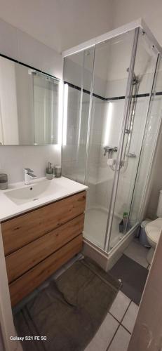 une salle de bain avec une douche, un lavabo et des toilettes dans l'établissement Mazet climatisé RDJ plages parking wifi gratuit, à La Londe-les-Maures