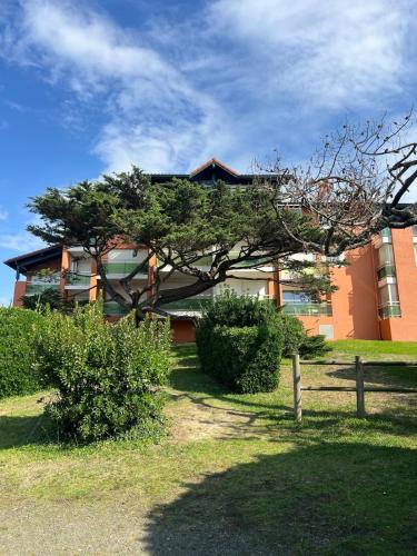 Photo de la galerie de l'établissement Cocon vue Océan, à Capbreton
