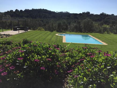 a garden with a swimming pool and flowers at Casa do Alfaro in Azambuja