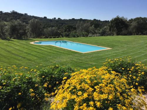 a pool in a field of grass with yellow flowers at Casa do Alfaro in Azambuja