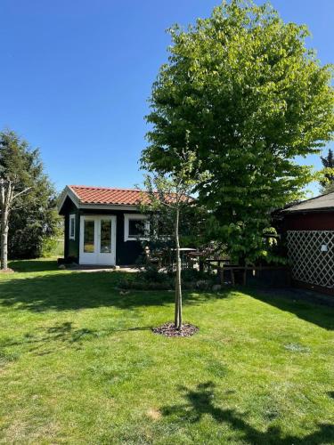 Zahrada ubytování Klein aber Fein, ein Tiny-House