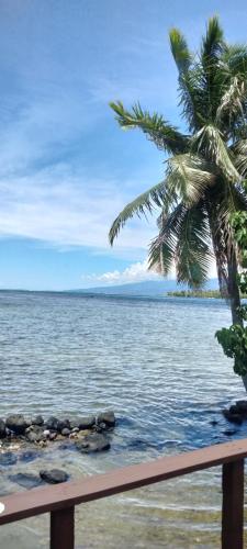 a view of the ocean from a beach with a palm tree at bungalow vue lagon 180 degré, la maison bleue in Moorea