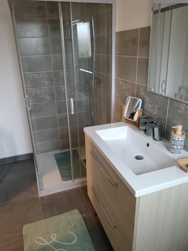 une salle de bain avec un lavabo et une douche dans l'établissement Les hortensias, à Soubran