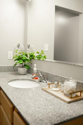a bathroom counter with a sink and a mirror at Chic City Apartment with parking Canal View RoofDeck in Indianapolis