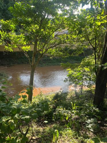 a river with a tree in the middle at Casa na Carioca em Goias Velho in Goiás