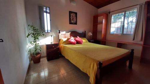 a bedroom with a bed with yellow sheets and red pillows at Punta del Sur in San Clemente del Tuyú