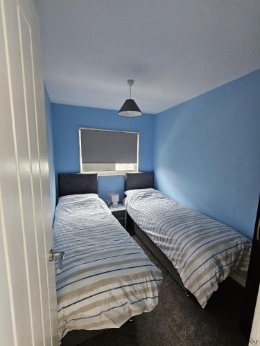 two beds in a room with a blue wall at 41 Cherry Park in Chapel Saint Leonards