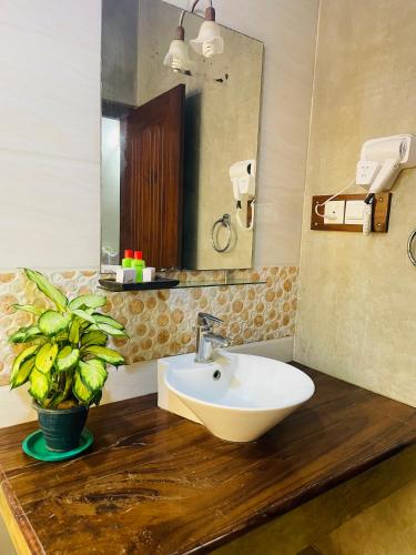 a bathroom with a sink and a mirror and a plant at Rimaka Village - Tourist Board Approved Hotel in Habarana
