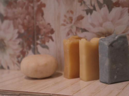 an apple and three blocks of cheese on a table at CocoHut Guesthouse in Ban Nong Chorakhe (1)