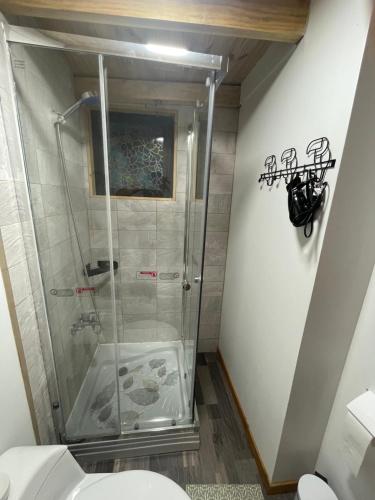 a shower in a bathroom with a toilet at Luz de Luna Antilhue in Valdivia