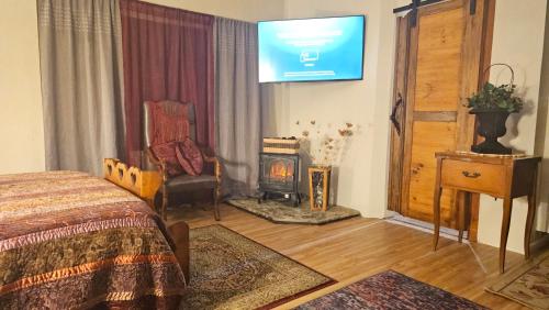 a bedroom with a bed and a television and a fireplace at The Secret Hideaway in Oakhurst