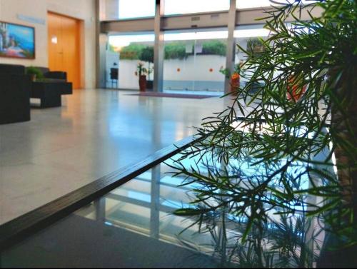 a view of a lobby with a plant in the foreground at ApartHome Domocenter in Bormujos
