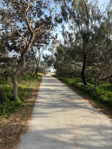a dirt road with trees on either side at Ocean views in Buddina