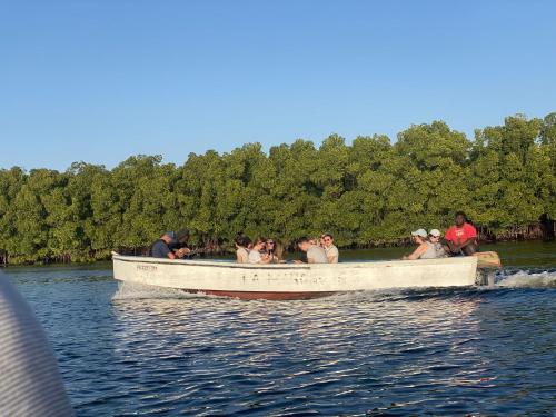 Φωτογραφία από το άλμπουμ του Les Calaos du Saloum σε Sokone