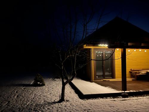 a house with a tree in the snow at night at Namelis Saulės gatvėje prie Siesarties ežero in Molėtai