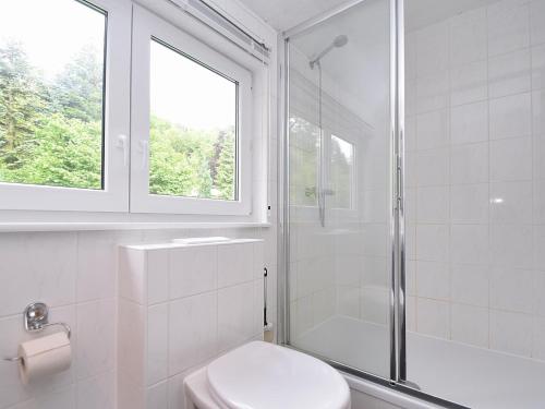 Un baño blanco con inodoro y ventana. en Cottage in Neuastenberg near the ski area, en Winterberg