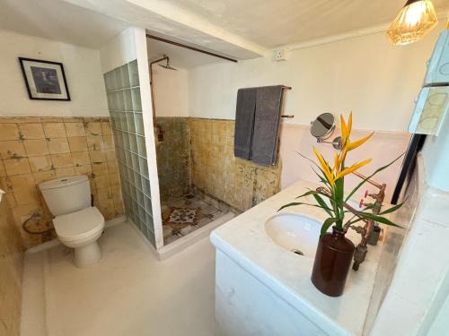 a bathroom with a toilet and a sink at Captain's Lounge- By Prince of Galle in Galle