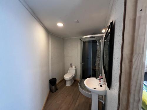 a small bathroom with a toilet and a sink at Domo Panigal in Hornopiren