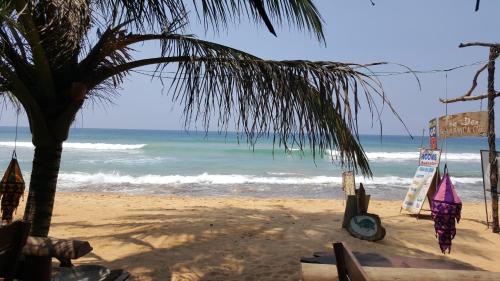 a beach with a palm tree and the ocean at The Den Guest House in Hikkaduwa