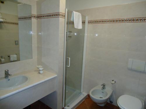 uma casa de banho com um chuveiro, um lavatório e um WC. em Hotel Paris em Castel Goffredo
