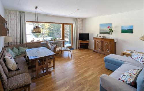 Μια τηλεόραση ή/και κέντρο ψυχαγωγίας στο Nice Apartment In Lenzkirch-Saig