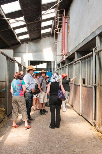 a group of people standing outside of a building at Filippus Vakantiehoeve in Maldegem
