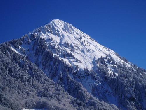 a mountain covered in snow and trees at Appartements Willi in Schoppernau