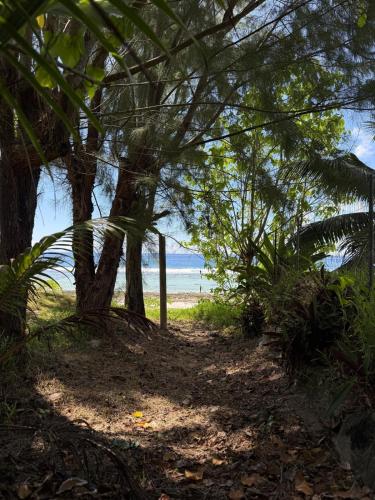 a path leading to the beach under trees at Fare Matahani in HUH