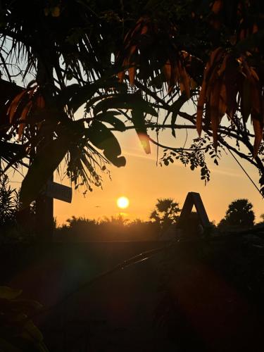 a sunset behind a tree with the sun in the background at Villa Arugam Bay in Arugam Bay