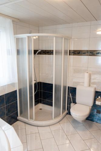 a bathroom with a shower with a toilet at Schlafen zur Brauerei St. Johann in Nesslau