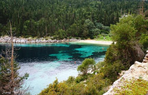 a view of a river with a beach and trees at Faros Suites (Adults Only) in Fiskardho