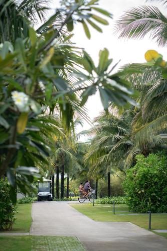 a person riding a bike in a park with palm trees at Maia Resort Quy Nhon in Quy Nhon
