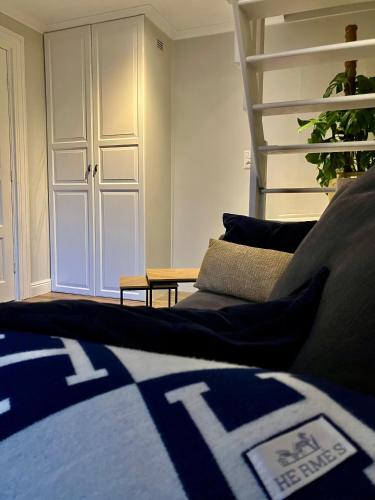 a living room with a bed and a ladder at Voorsterstaete former barn, including jacuzzi in Voorst