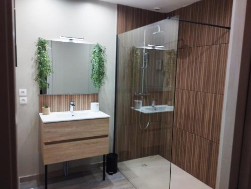 une salle de bain avec un lavabo et une douche dans l'établissement Chez Gaël et Julie villa 5 mins plages pisc, clim, à Sérignan