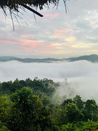 Un paisaje natural cerca de la casa vacacional