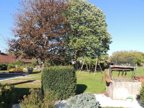a park with a tree and a swing at La maison d'en face a cozy guesthouse in Saint-Euphrône