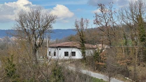 an old white house on a hill with trees at Lo Specchio di Alice in Lioni