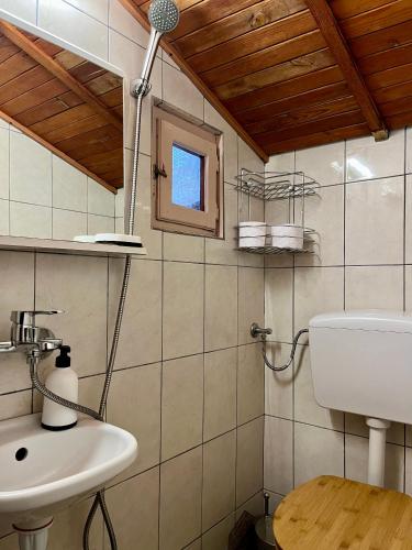 a bathroom with a sink and a toilet and a window at Quattro Malyovitsa- Мальовица in Govedartsi
