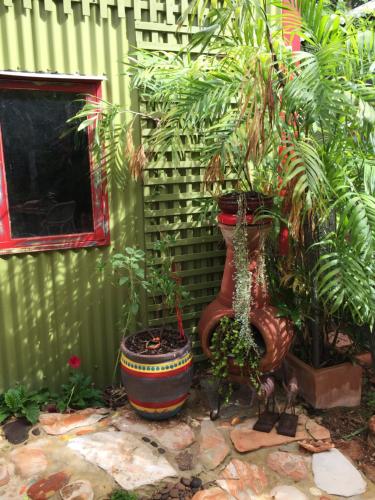 a group of plants in pots next to a fence at Broome bohemian poolside retreat in Cable Beach