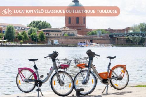T2 Calme absolu - Coeur Toulouse - Saint Cyprien - climatisation - Terrasse arborée