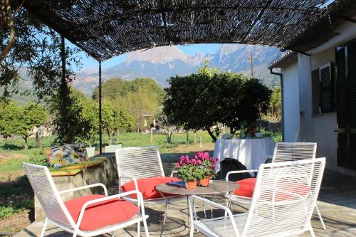 Sóller Relax, cozy and rural apartment