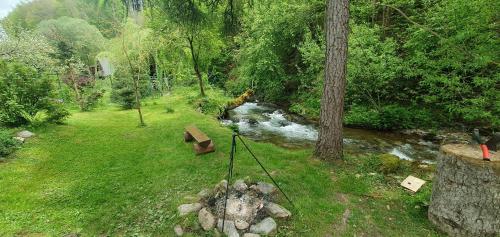 a view of a river with a bench in the grass at Štiavnička in Mýto pod Ďumbierom