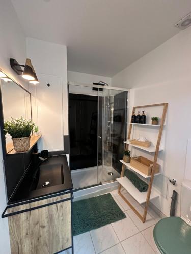 une salle de bain avec un lavabo et une douche en verre dans l'établissement Studio le Végétal, à Châlons-en-Champagne