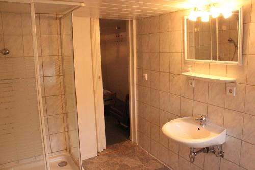 a bathroom with a sink and a mirror and a shower at Pension Rad - Haus in Petershagen