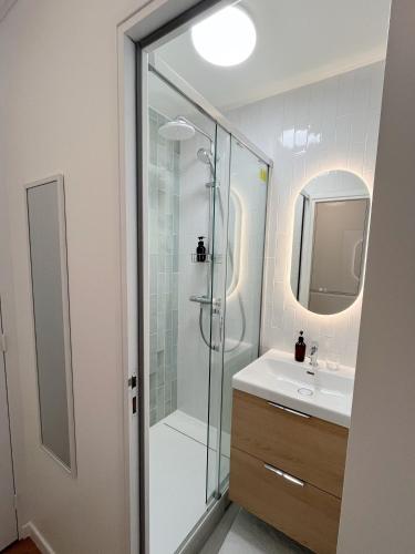 une salle de bain avec douche et lavabo dans l'établissement Denfert Rochereau -Cozy and pleasant stay with terrace, à Paris